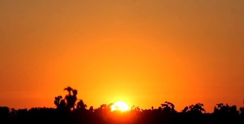 Gras, Sonnenuntergang, Natur, Himmel, Sonnenfeld, groß