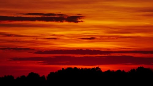 Fiery Sunset Sky over Tree Silhouette