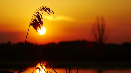 Abend-Landschaft