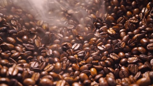 Steaming Pile of Roasted Coffee Beans Close Up