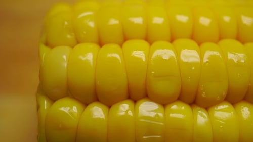Boiled Corn Cob