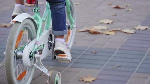 Little Girl Rides Bicycle on Autumn City Boulevard, Rear View