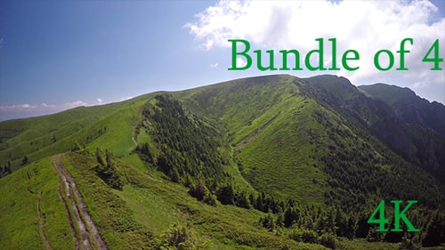 Aerial Forest in the Red Mountain