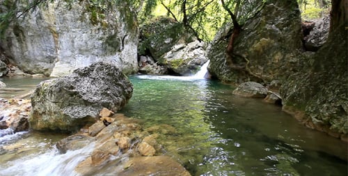 Forest River