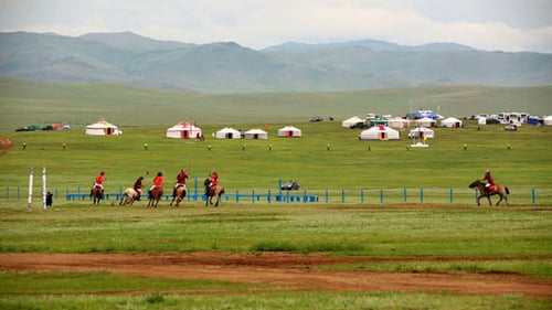 Equestrians Riding Horses Across Green Field