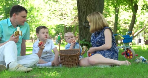 Family Picnic In The Park On The Lawn