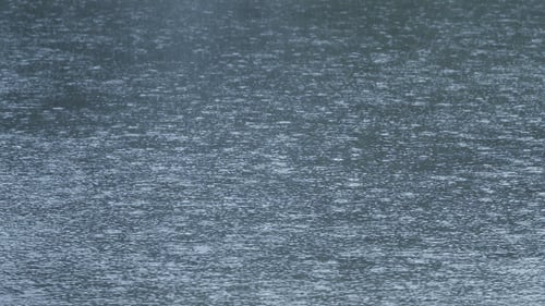 Rains