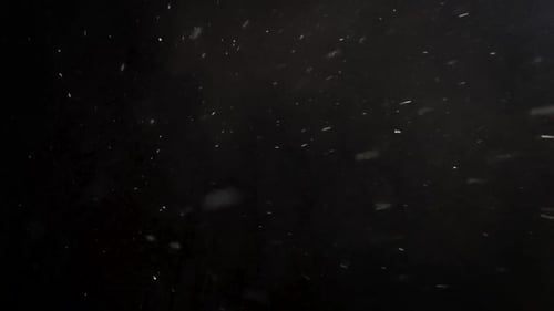 White snowflakes snow falling on black background