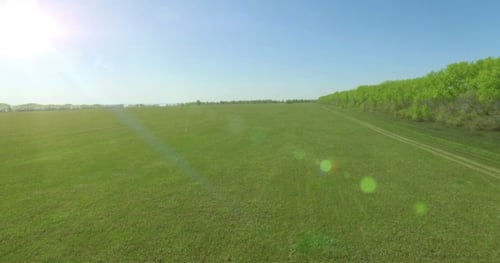 Aerial View. Low Flight Over Green And Yellow Wheat Rural Field.
