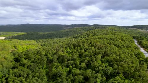 Vol en Drone au-dessus de la forêt du nord d'Istanbul. Ciel nuageux et nature verdoyante