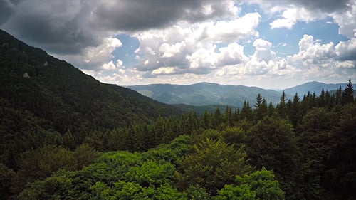 Over the Wild Forest With Spectacular Clouds