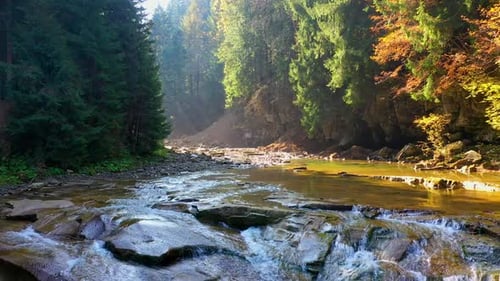 Mountain River Flowing Between Rocky Shores in Carpathians Mountains, Ukraine