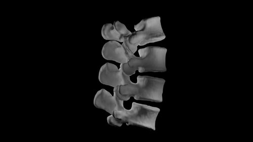 3D Human Vertebrae Rotating Medical X-Ray Scan Animation