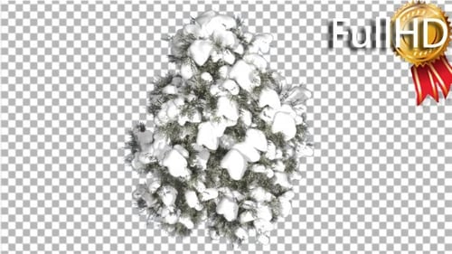 Cedro de arriba hacia abajo Cedro rojo oriental nieve en el árbol