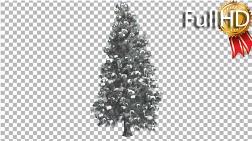 Animated Snowy Evergreen Christmas Tree with Alpha