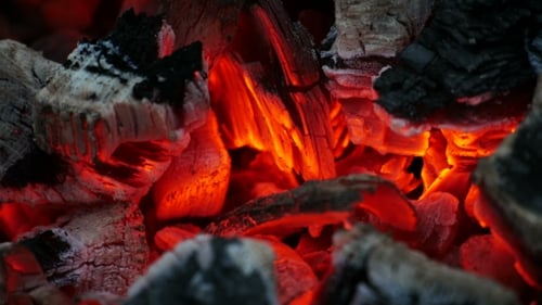 Coal