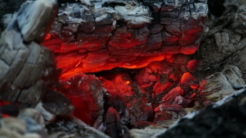 Glowing Embers in the Darkness of Fire