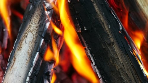 Real Flame