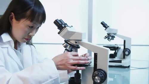 Medical Professional Works with Microscope in Bright Laboratory
