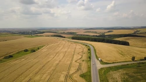 Aerial view of a road with moving cars between yellow agriculture wheat fields ready to be