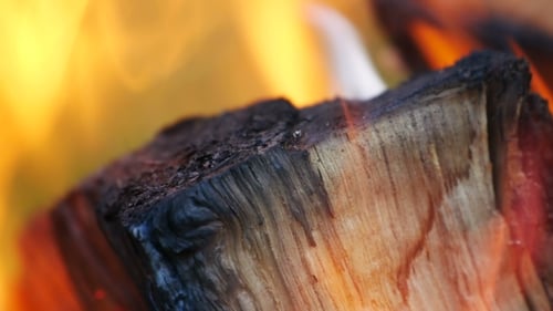 Burning Wood Fire