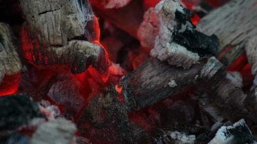 Coal