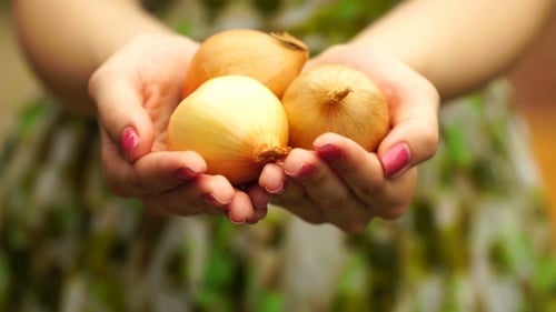 Footage Woman Holding a Onion