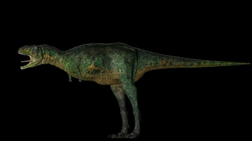 Realistic 3D Dinosaur Standing and Rotating Animation