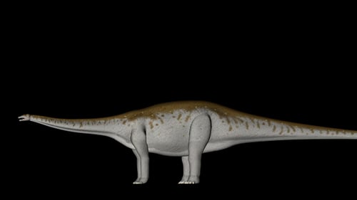 3D Dinosaur Animation Rotating on Black Background