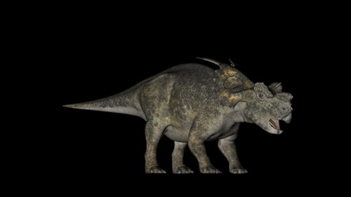 Dinosaure achelosaurus en rotation sur fond noir