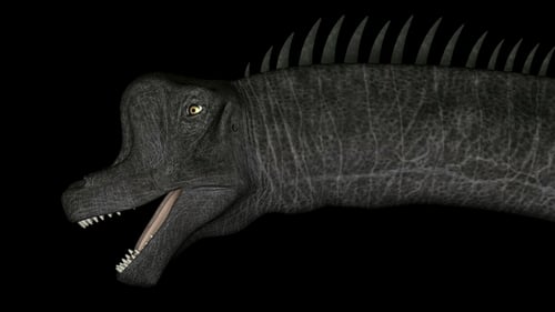 Brachiosaurus Head Dinosaurier in Rotation auf schwarzem Hintergrund