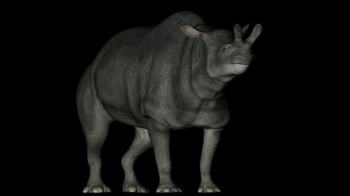 Dinosaure Brontotherium en rotation sur fond noir