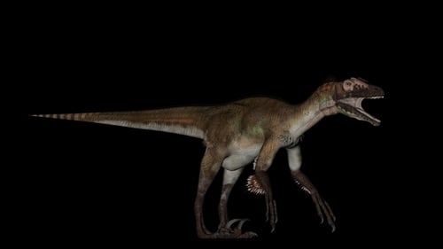 3D Animated Raptor Dinosaur Walking On Transparent Background