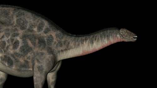 Realistic 3D Sauropod Dinosaur Walking and Roaming Animation