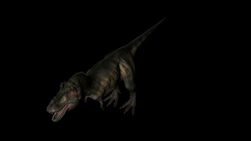 Dinosaure Tyrannosaurus giratoire sur fond noir