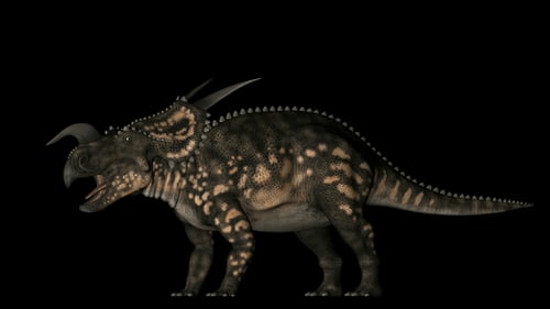 Rotation des dinosaures Einiosaurus