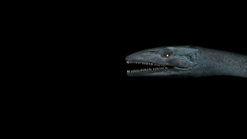 Animated 3D Marine Reptile Swimming on Black Background