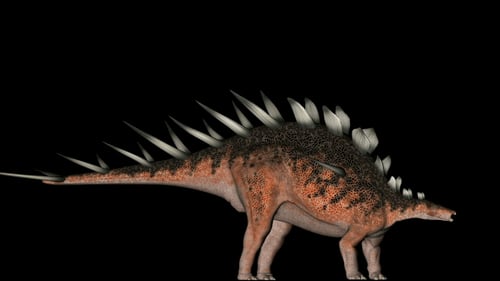 Dinosaure Kentrosaurus en rotation sur fond noir
