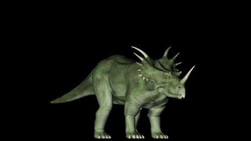 Dinosaure Styracosaurus en rotation sur fond noir