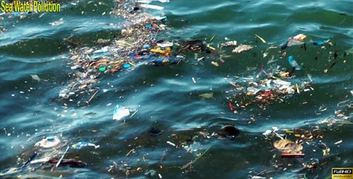 Pollution des eaux marines