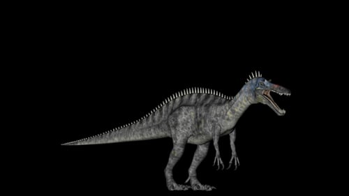 Animated 3D Baryonyx Dinosaur Model Rotation