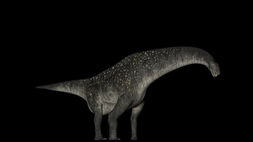 Animated Long-Necked Sauropod Dinosaur Creature
