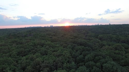 Coucher de soleil en forêt