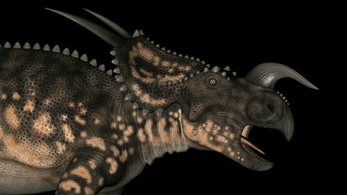 Einiosaurus Dinosaur Head Rotation