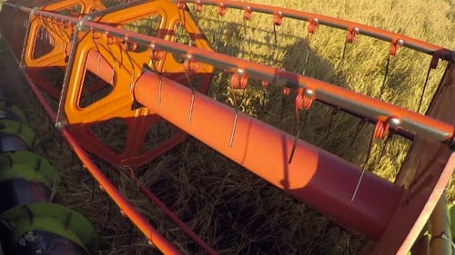 Harvester Gathers Wheat in Golden Rural Field