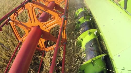 Grain Harvesting Combine