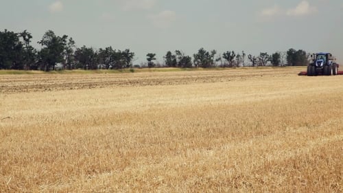 Blue Tractor Tilling Golden Field on Farm