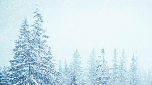 Hermosa nieve esponjosa en las ramas de los árboles