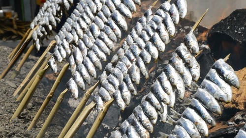 Fresh Sardines Cooking over Open Fire