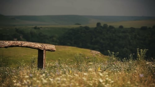 Panorama Of Summer Field In Mountains Covered By Greenery. Landscape. Fence